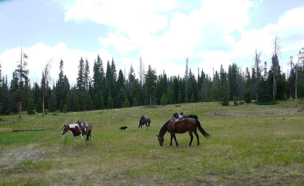 Medicine Bow Lodge Tenmile Exterior foto
